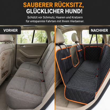 Pfotenraum Schondecke