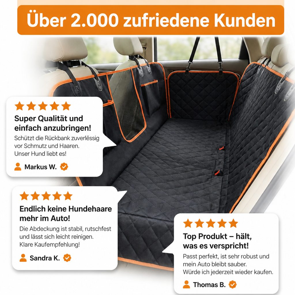 Pfotenraum Schondecke