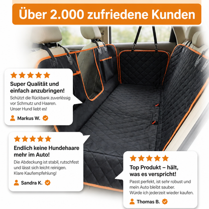 Pfotenraum Schondecke