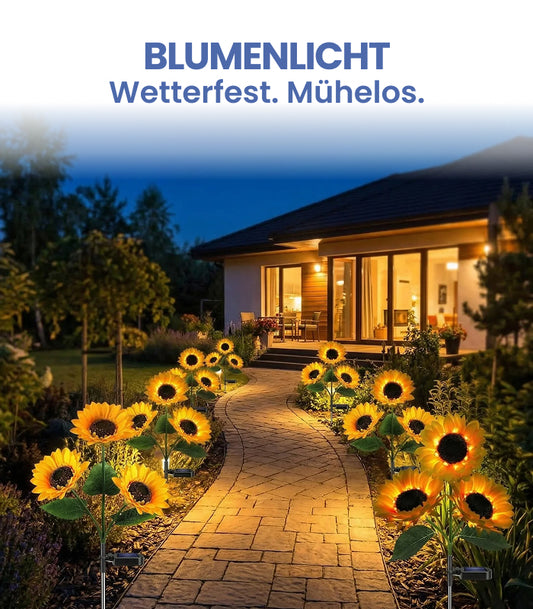 BlumenLicht