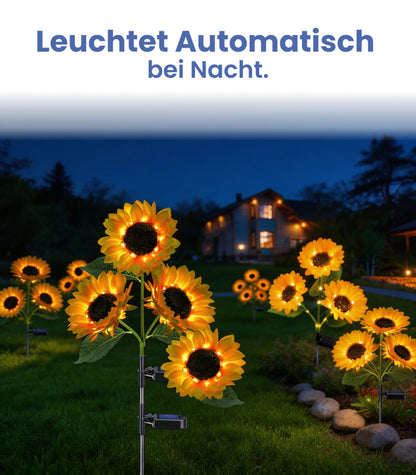 BlumenLicht