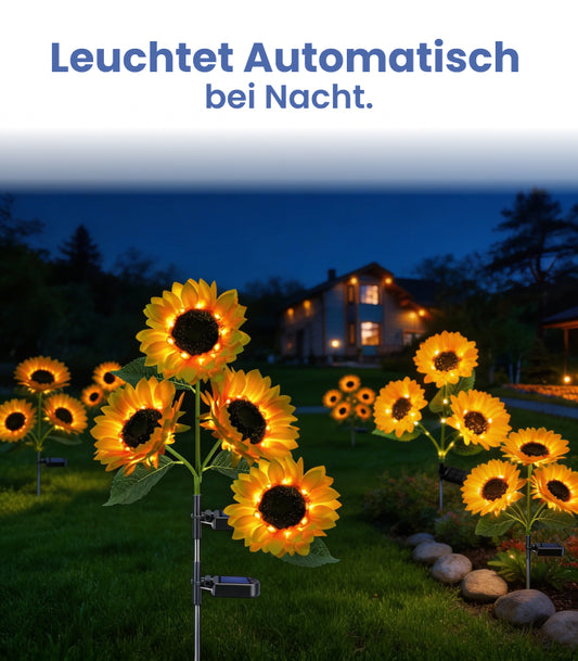 BlumenLicht