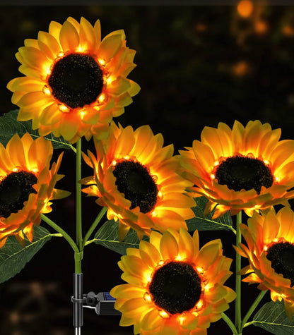 BlumenLicht